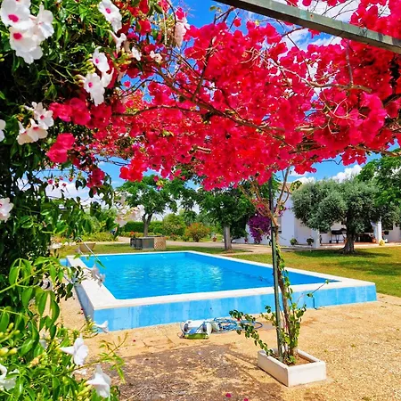 Casa En El Campo Cerca De Sevilla * La Rinconada